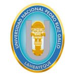 UNIVERSIDAD NACIONAL PEDRO RUIZ GALLO DE LAMBAYEQUE