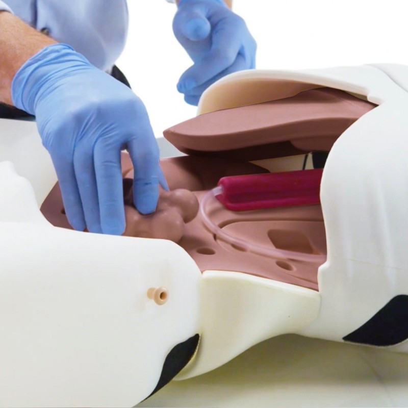 Limbs & Things Cirugía Laparocópica - ElabImport