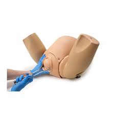 limbs & things Procedimientos ginecologicos