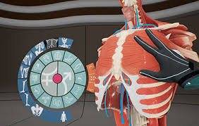 Medroom Anatomia general elabimport