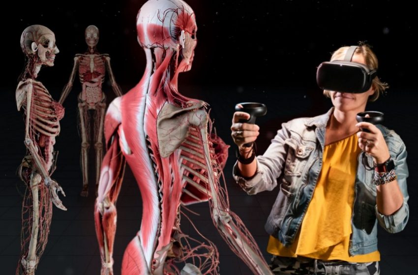 Medroom Realidad Virtual Inmersiva elabimport