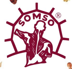 Somso Catálogo ElabImport