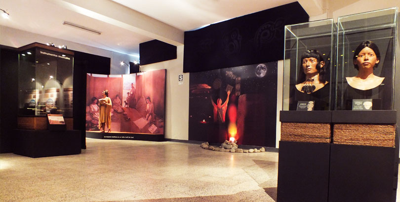 somso MUSEOS Y EXPOSICIONES